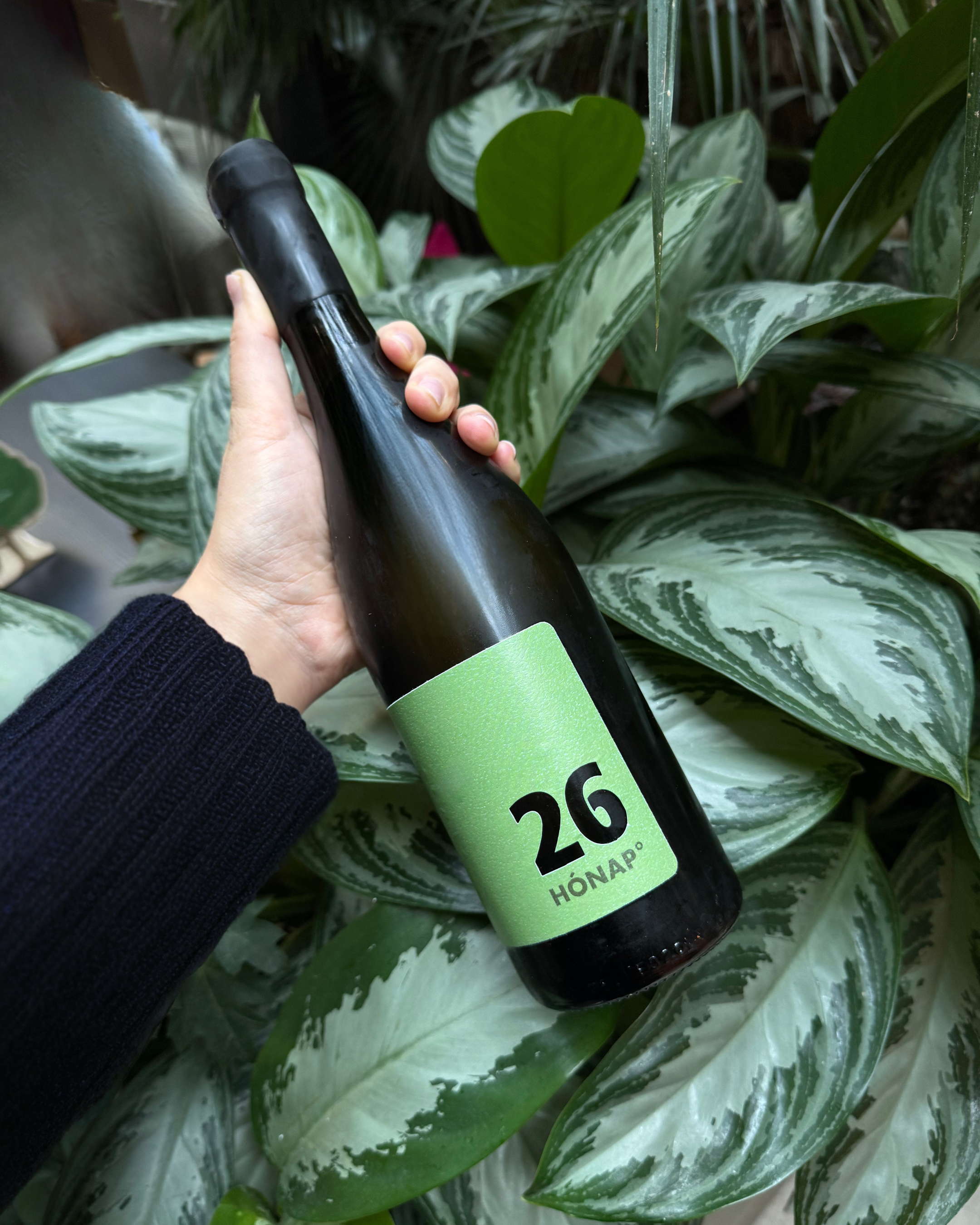 Pátzay 26 Chardonnay Twentysix étteremben