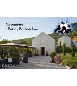 Meccsnézés a Pátzay Borbirtokon!