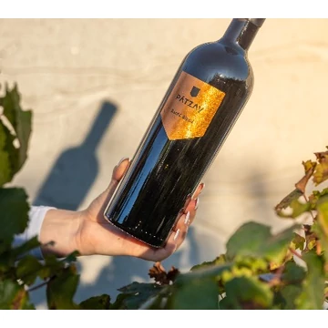 Borkóstoló Badacsonyban 3-as Pátzay Borbirtok