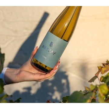 Borkóstoló Badacsonyban 3-as Pátzay Borbirtok